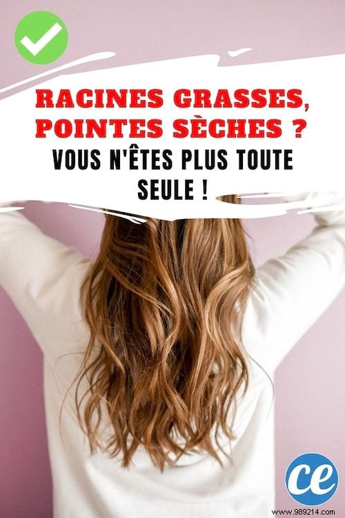 Oily Roots and Dry Ends: 3 Expert Tips for Balanced, Healthy Hair