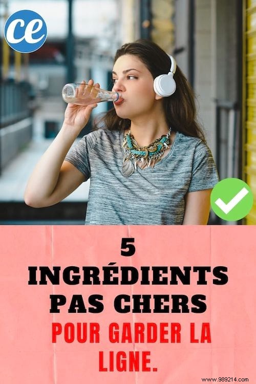 5 Affordable Ingredients to Help You Stay Slim Effortlessly