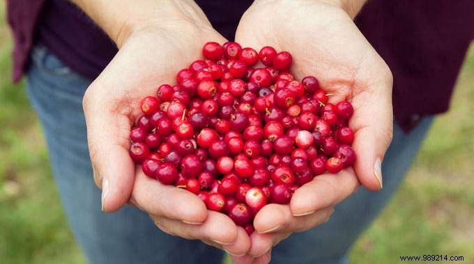 Natural Cranberry Juice Remedy for Early Urinary Tract Infections