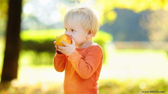 4 Proven Tips to Eat Organic on a Budget: My Real-World Experience