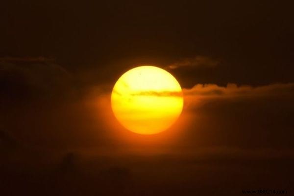 Natural Vitamin D for Babies: Safe, Everyday Sources from Sun, Fish, and Foods