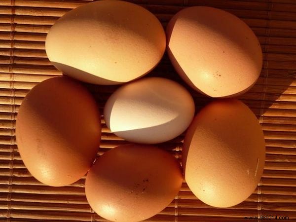 Natural Vitamin D for Babies: Safe, Everyday Sources from Sun, Fish, and Foods