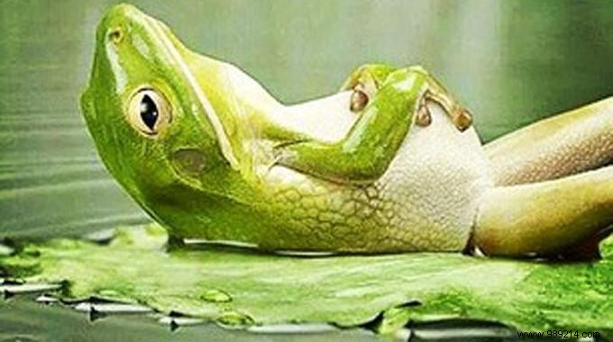 4 Surprising Daily Practices to Cultivate Zen and Escape Routine Stress