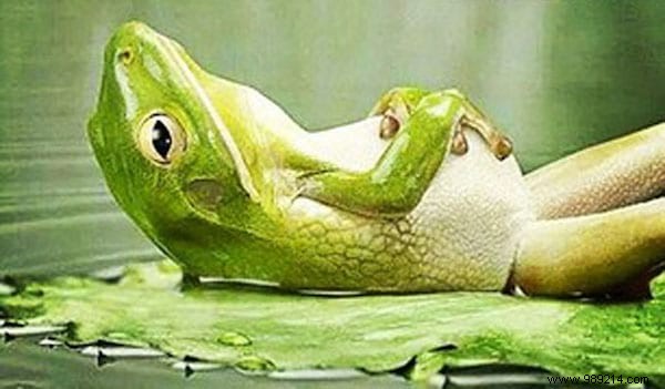 4 Surprising Daily Practices to Cultivate Zen and Escape Routine Stress