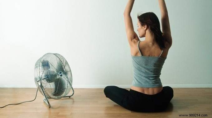 Master the Fan Stretch: Enhance Side Body Flexibility and Feel Elongated