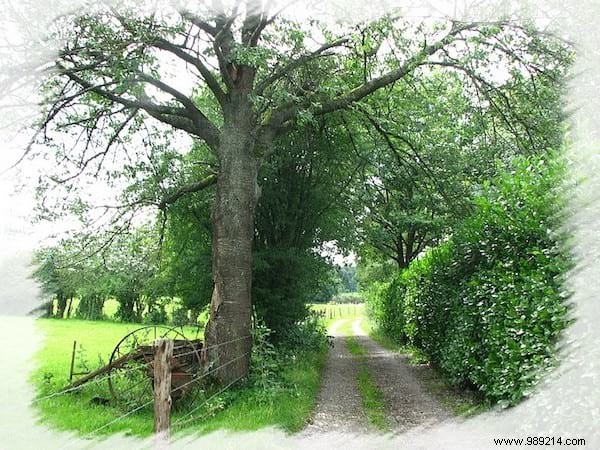 Grandpa s Proven Pebble Trick to Instantly Stop Side Stitches While Running or Hiking