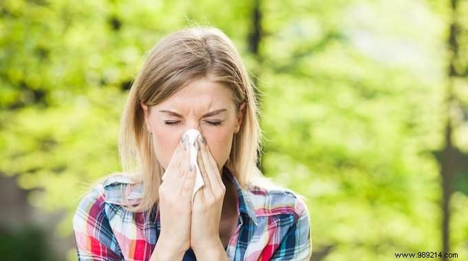 Proven Natural Herbal Remedies to Relieve Allergy Symptoms Quickly