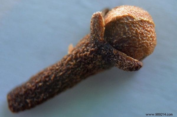 Natural Toothache Relief: My Proven Clove Oil Remedy