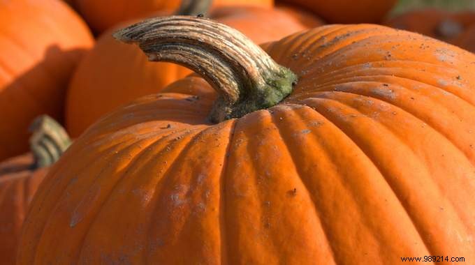 Pumpkin: A Nutrient-Rich Superfood Packed with Vitamins for Peak Health