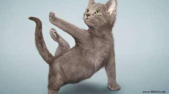 Build Stronger Forearms at Home: Proven Rubber Band Exercise from a Pro Fitness Coach