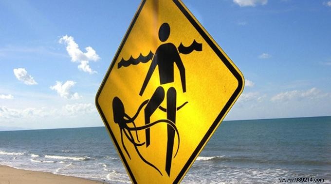 Quick Relief for Jellyfish Stings: Why Coca-Cola Works