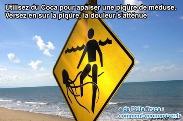 Quick Relief for Jellyfish Stings: Why Coca-Cola Works