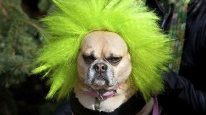 Blonde Hair Turned Green from Chlorine? Restore It with This Proven Aspirin Remedy