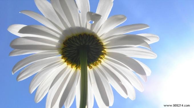 11 Proven Tips to Combat Winter Fatigue and Stay Energized All Season