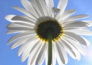 11 Proven Tips to Combat Winter Fatigue and Stay Energized All Season