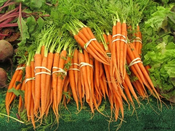 11 Proven Tips to Combat Winter Fatigue and Stay Energized All Season