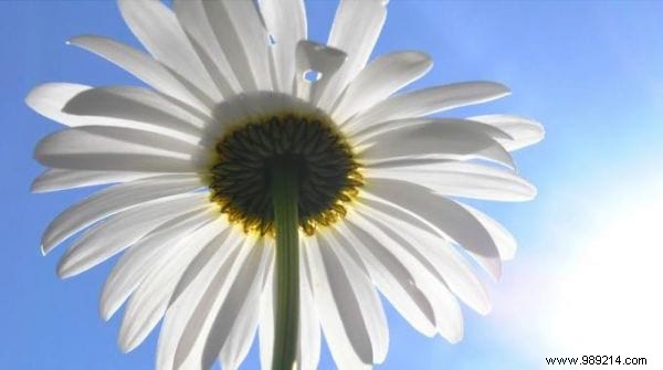 11 Proven Tips to Combat Winter Fatigue and Stay Energized All Season