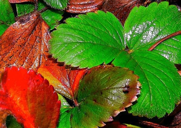 11 Proven Tips to Combat Winter Fatigue and Stay Energized All Season