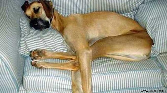 10 Proven Natural Remedies to Combat Fatigue Effectively