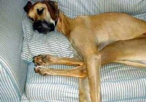 10 Proven Natural Remedies to Combat Fatigue Effectively