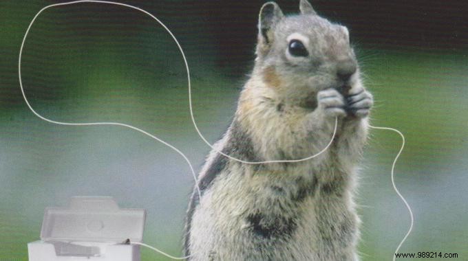 Master Pain-Free Flossing: The Simple Loop Technique You Need to Know