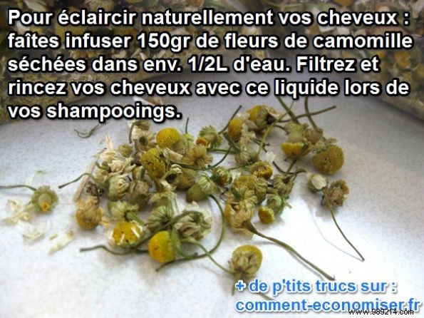 Lighten Your Hair Naturally with Chamomile Tea: A Proven, Chemical-Free Method