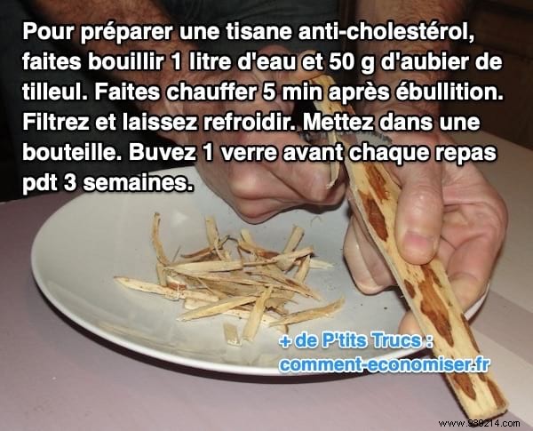 Natural Linden Sapwood Tea: A Proven Grandmother s Remedy to Lower Cholesterol