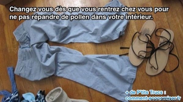 Pollen Allergy Relief: Simple Steps to Keep Pollen Out of Your Home