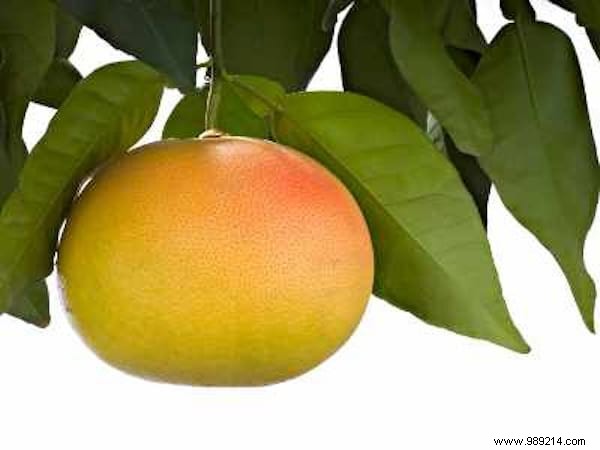 7 Effective Home Remedies for Oral Thrush: My Tried-and-Tested Natural Relief