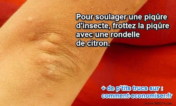 Natural Lemon Remedy: Quick Relief for Insect Bites