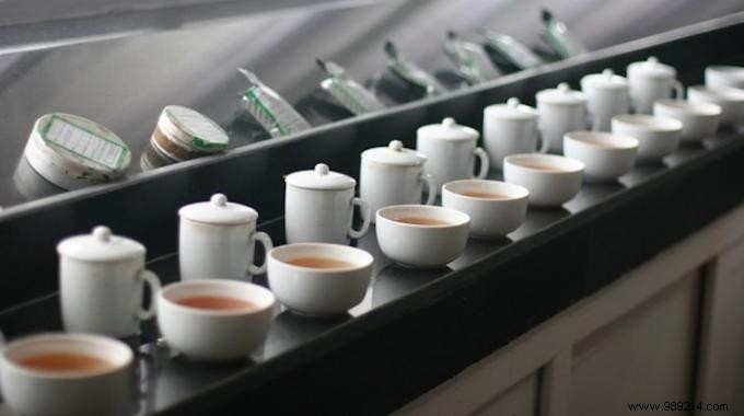 The Right Tea for Every Symptom: Time-Tested Herbal Remedies Guide