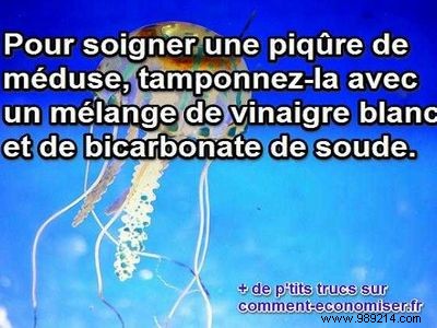 Effective First Aid for Jellyfish Stings: Vinegar and Baking Soda Remedy