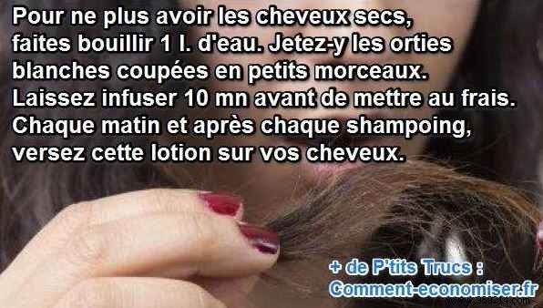 Revive Dry, Dull Hair Naturally: Proven White Nettle Lotion Recipe