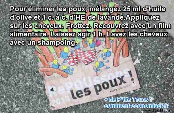 Beat Head Lice Naturally: My Proven Olive Oil and Lavender Recipe