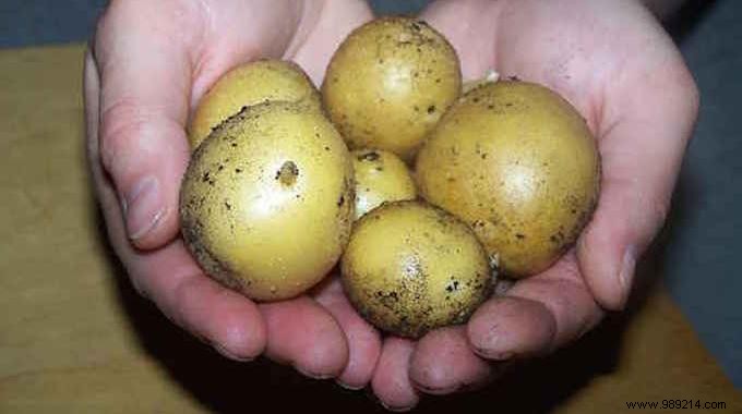 10 Everyday Items You Should Never Store in the Fridge (Expert Storage Tips)