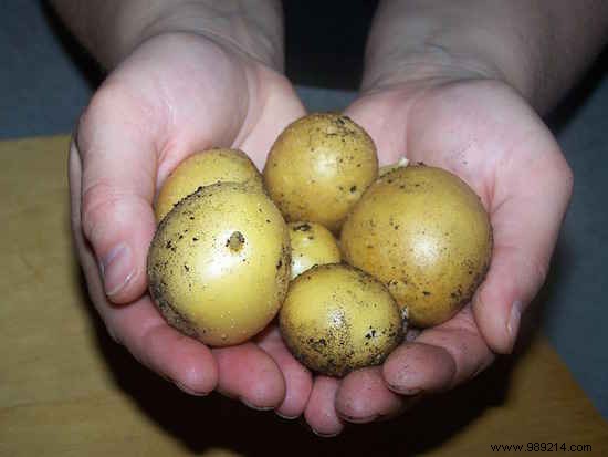 10 Everyday Items You Should Never Store in the Fridge (Expert Storage Tips)