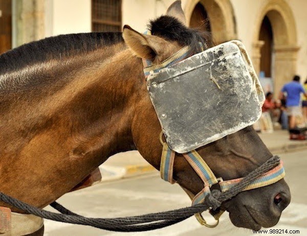 4 Proven Tips to Confidently Tackle Tough Decisions