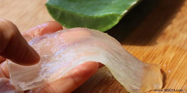 40 Proven Uses of Aloe Vera for Skin, Hair, Digestion, and Overall Wellness