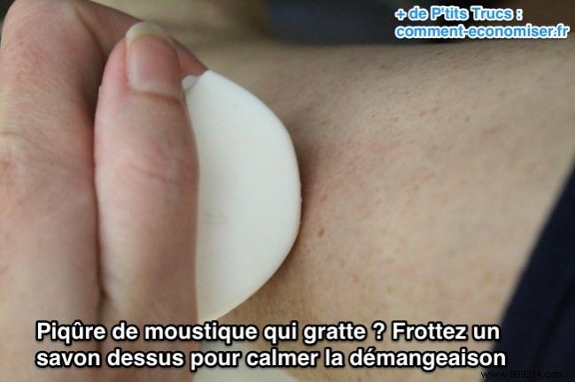 Instant Mosquito Bite Relief: The Surprising Soap Remedy You ve Never Tried