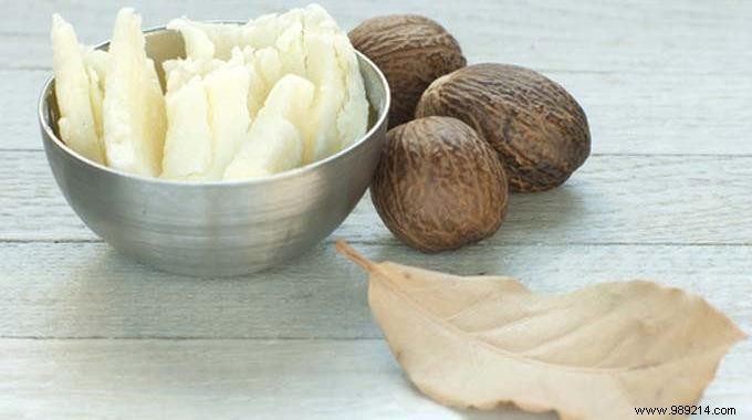 7 Proven Benefits of Shea Butter for Skin, Hair, and Healing – A Natural Powerhouse