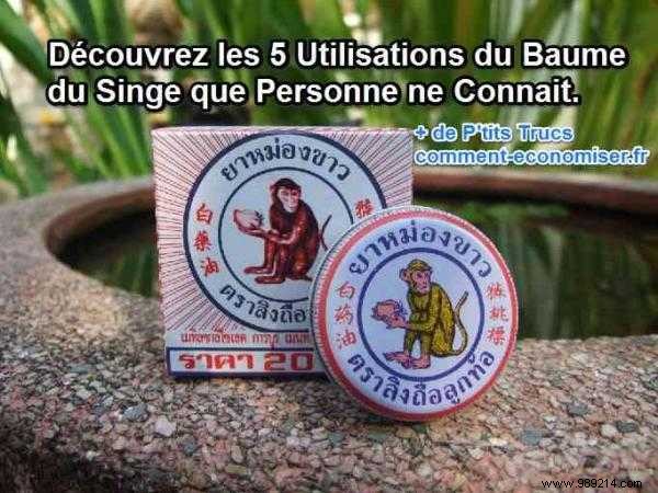 6 Proven Uses for Monkey Balm: Thailand s Trusted Natural Remedy