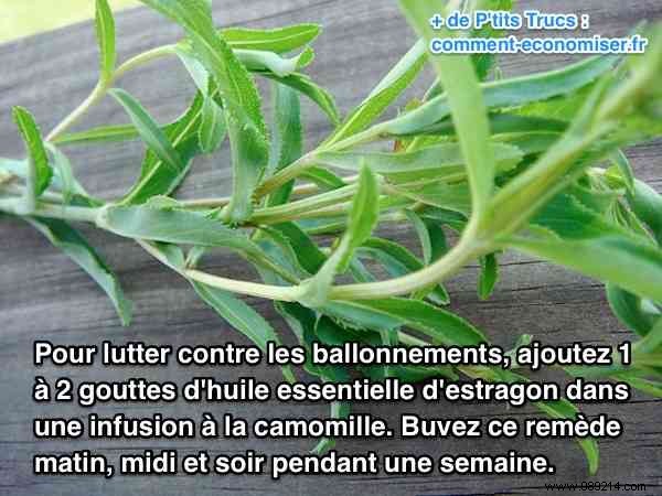 Grandma s Time-Tested Remedy: Tarragon Essential Oil Tea for Bloating and Gas Relief