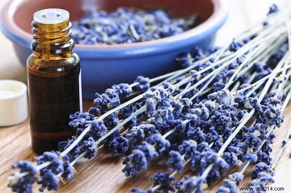 My Top 5 Essential Oils for Health, Beauty, and Wellness: Safe Usage Guide