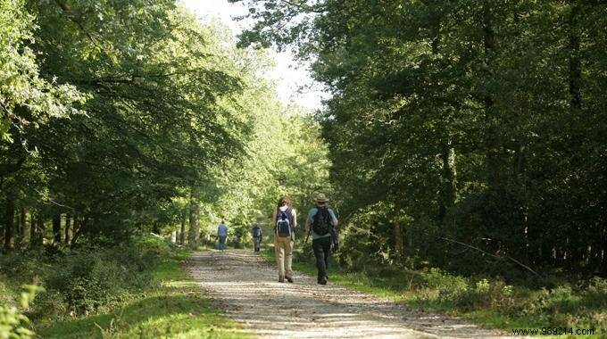 Simple, Proven Trick to Prevent Tick Bites on Family Forest Outings