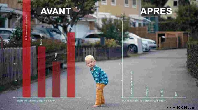 Swedish Family Eats Only Organic for 2 Weeks: Pesticide Levels Drop Dramatically