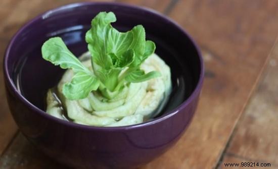 10 Vegetables You Can Regrow Indefinitely from Kitchen Scraps