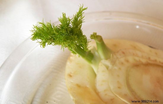 10 Vegetables You Can Regrow Indefinitely from Kitchen Scraps