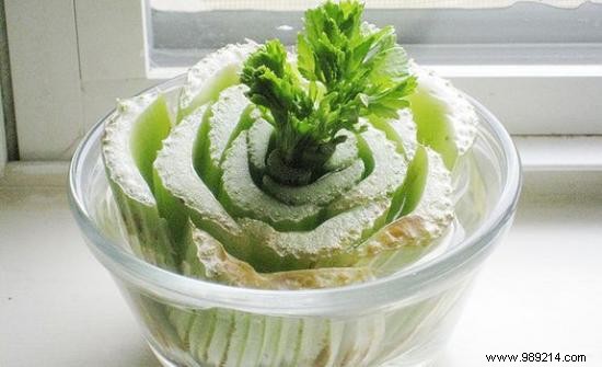 10 Vegetables You Can Regrow Indefinitely from Kitchen Scraps