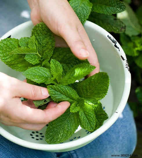 10 Proven Home Remedies to Stop Vomiting Naturally