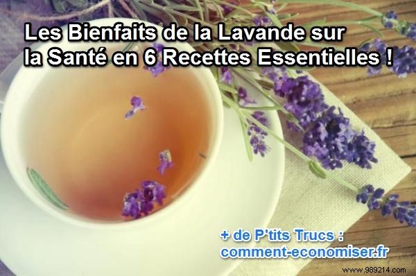 6 Proven Lavender Uses for Health, Relaxation, and Skin Care